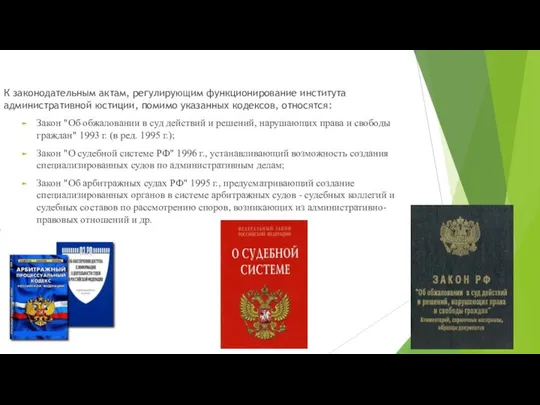 К законодательным актам, регулирующим функционирование института административной юстиции, помимо указанных кодексов,