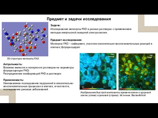 Задача: Исследование молекулы FAD в разных растворах с применением методов импульсной