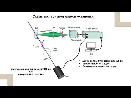 Длина волны флуоресценции 530 нм Концентрация FAD 60μM Водно-метанольные растворы Схема