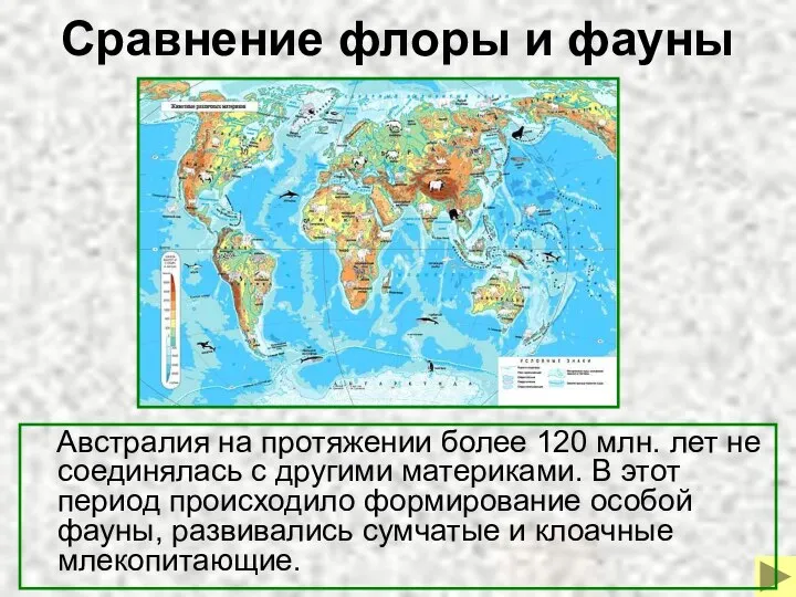 Сравнение флоры и фауны Австралия на протяжении более 120 млн. лет