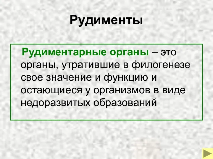 Рудименты Рудиментарные органы – это органы, утратившие в филогенезе свое значение