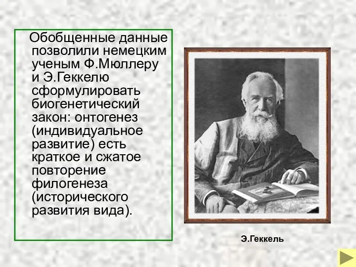 Обобщенные данные позволили немецким ученым Ф.Мюллеру и Э.Геккелю сформулировать биогенетический закон: