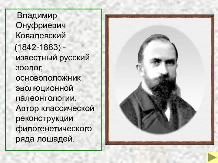 Владимир Онуфриевич Ковалевский (1842-1883) - известный русский зоолог, основоположник эволюционной палеонтологии.