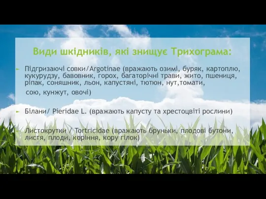 Види шкідників, які знищує Трихограма: Підгризаючі совки/Argotinae (вражають озимі, буряк, картоплю,