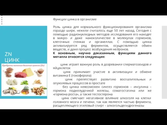 ZN ЦИНК Функции цинка в организме Роль цинка для нормального функционирования