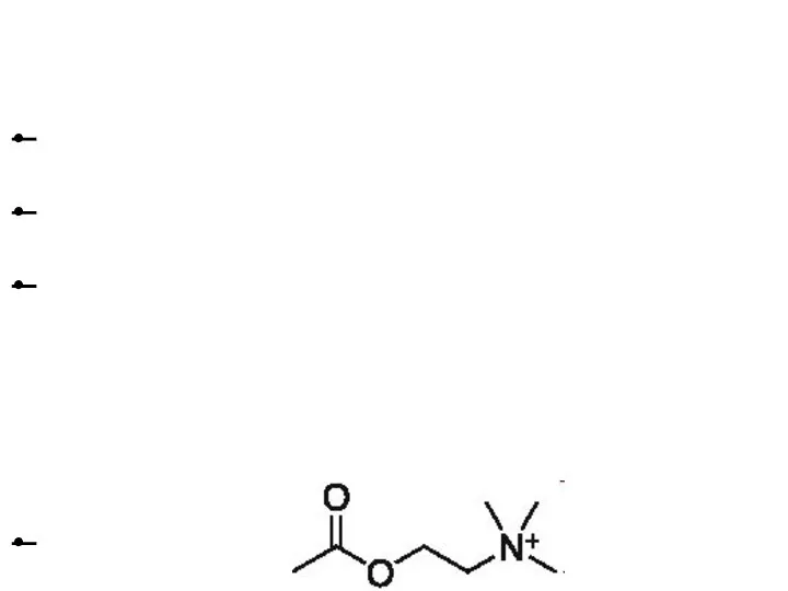 Acetylcholine receptor (http://en.wikipedia.org/wiki/Cholinergic_receptor) An acetylcholine receptor (abbr. AChR; sin. Cholinergic receptor)