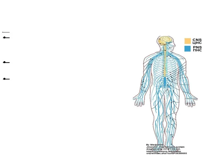 31-10-2021 (Конорев 2019) A significant proportion of all drugs are aimed