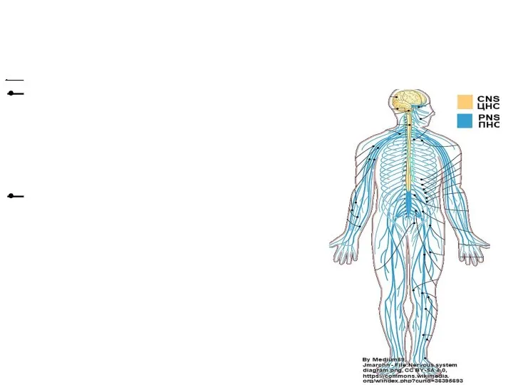 31-10-2021 (Конорев 2019) A significant proportion of all drugs are aimed