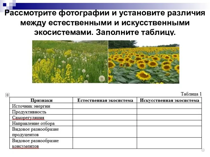 Рассмотрите фотографии и установите различия между естественными и искусственными экосистемами. Заполните таблицу.