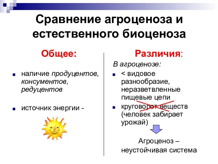 Сравнение агроценоза и естественного биоценоза Общее: наличие продуцентов, консументов, редуцентов источник