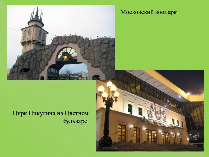 Московский зоопарк. Цирк Никулина на Цветном бульваре.