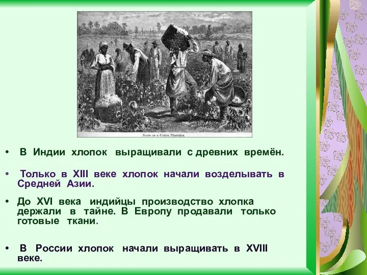 До XVI века индийцы производство хлопка держали в тайне. В Европу