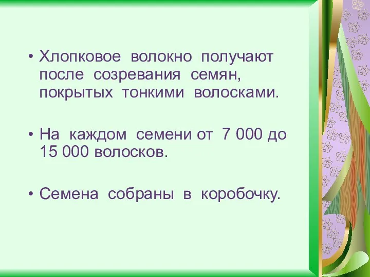 Хлопковое волокно получают после созревания семян, покрытых тонкими волосками. На каждом