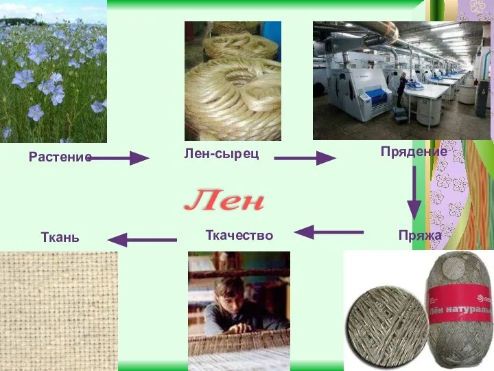 Растение Лен-сырец Прядение Пряжа Ткачество Ткань Лен