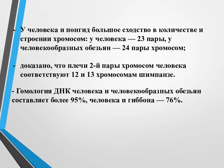 У человека и понгид большое сходство в количестве и строении хромосом: