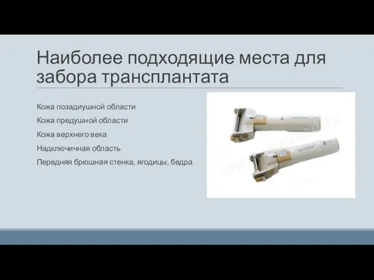 Наиболее подходящие места для забора трансплантата Кожа позадиушной области Кожа предушной