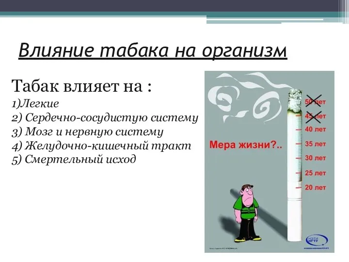 Влияние табака на организм Табак влияет на : 1)Легкие 2) Сердечно-сосудистую