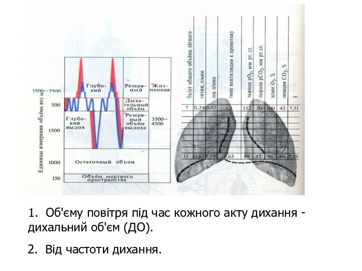 1. Об'єму повітря під час кожного акту дихання - дихальний об'єм (ДО). 2. Від частоти дихання.