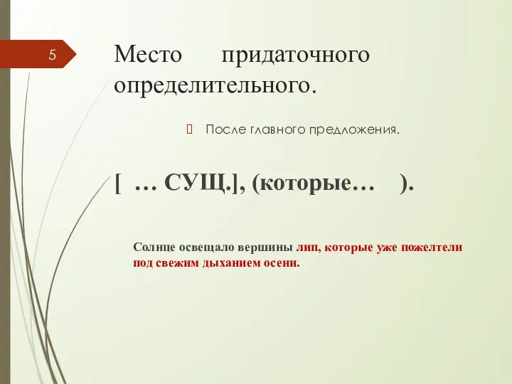 Место придаточного определительного. После главного предложения. [ … СУЩ.], (которые… ).