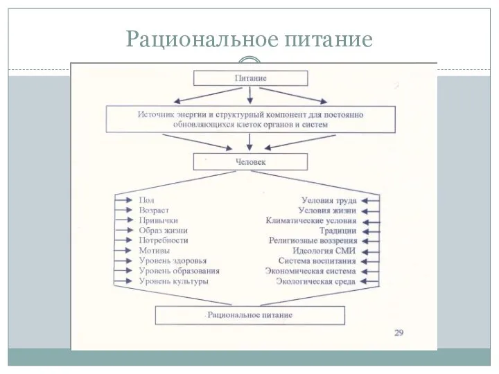 Рациональное питание