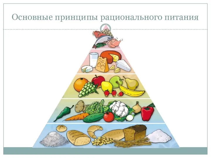 Основные принципы рационального питания