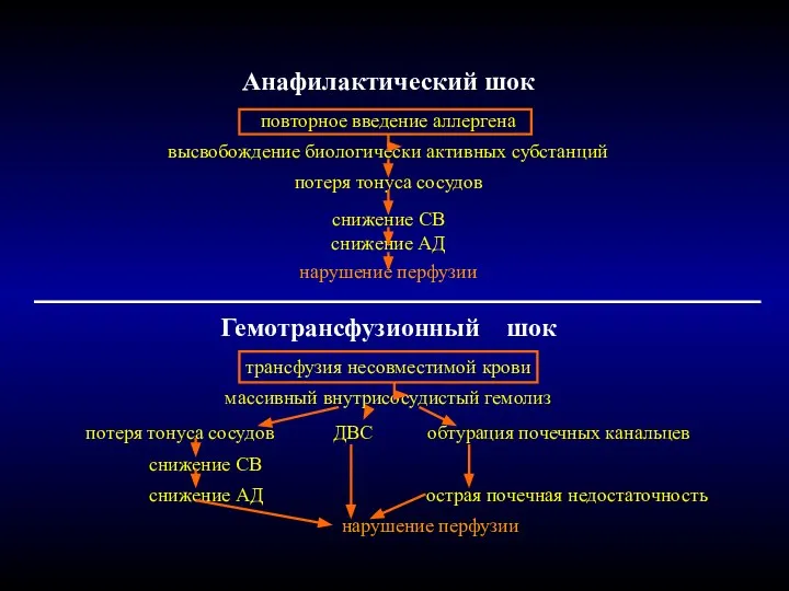 Анафилактический шок повторное введение аллергена высвобождение биологически активных субстанций потеря тонуса