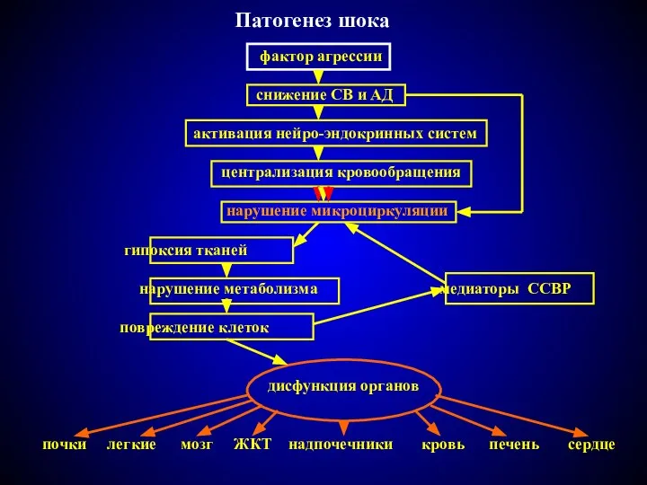 Патогенез шока фактор агрессии снижение СВ и АД активация нейро-эндокринных систем