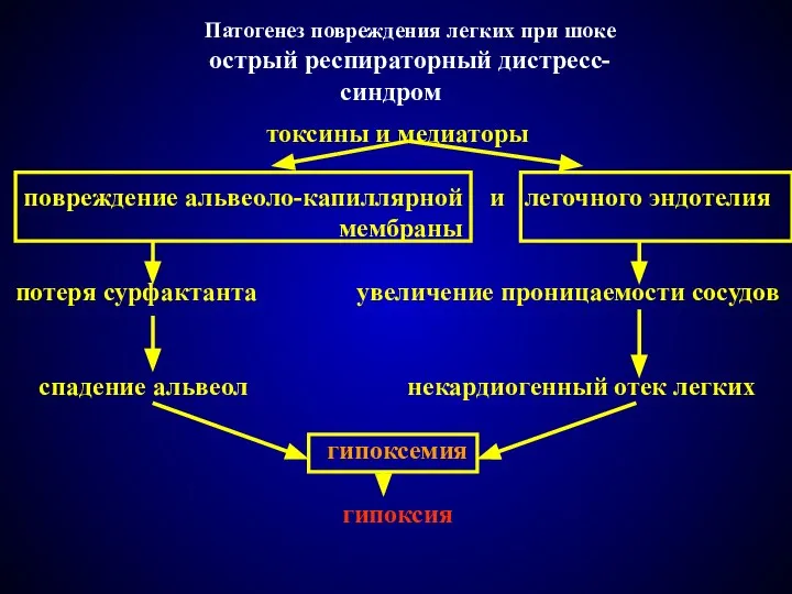 Патогенез повреждения легких при шоке острый респираторный дистресс-синдром токсины и медиаторы