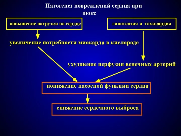 Патогенез повреждений сердца при шоке повышение нагрузки на сердце гипотензия и