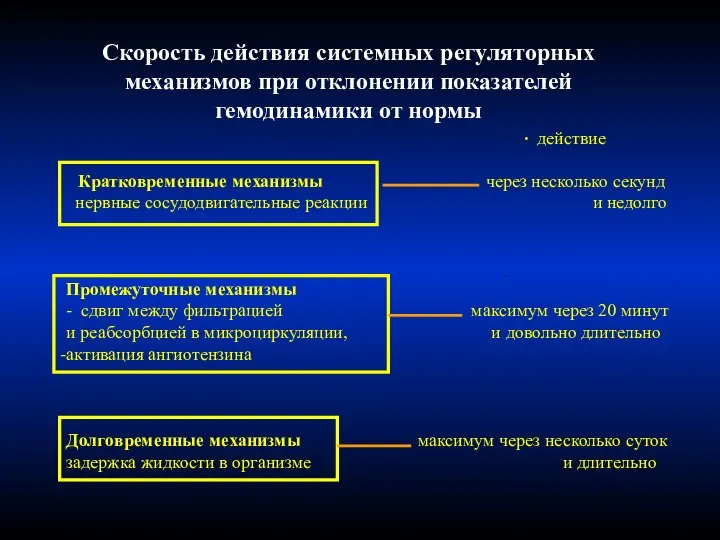 Скорость действия системных регуляторных механизмов при отклонении показателей гемодинамики от нормы