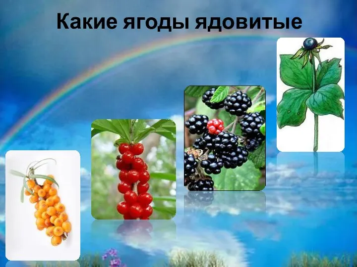 Какие ягоды ядовитые