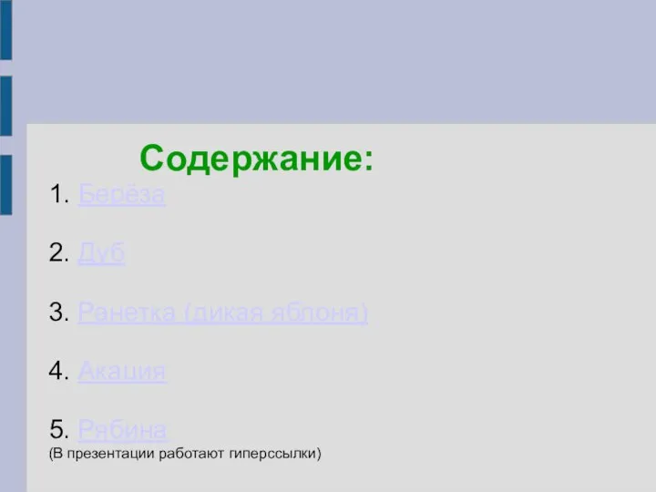 Содержание: 1. Берёза 2. Дуб 3. Ранетка (дикая яблоня) 4. Акация