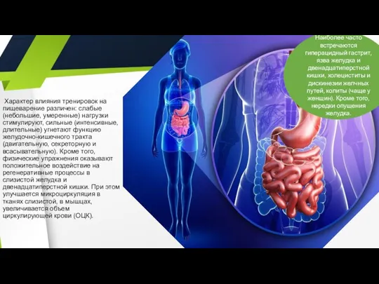 Характер влияния тренировок на пищеварение различен: слабые (небольшие, умеренные) нагрузки стимулируют,