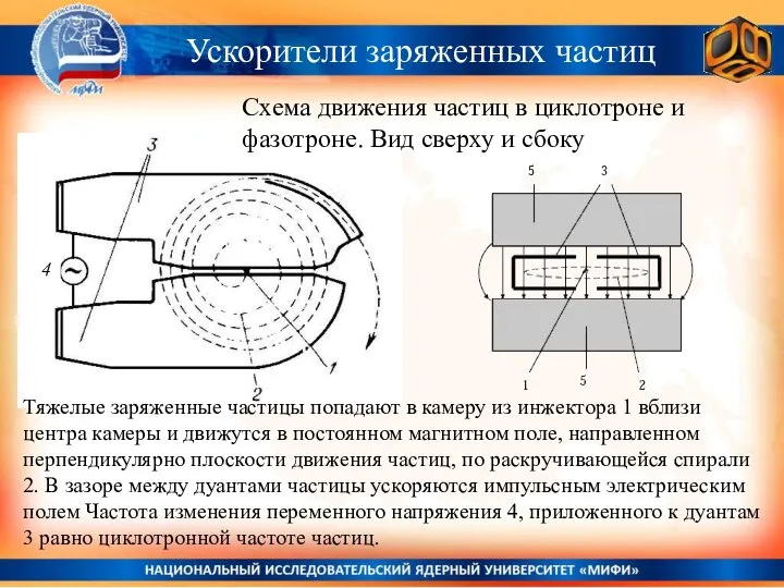 Ускорители заряженных частиц Схема движения частиц в циклотроне и фазотроне. Вид