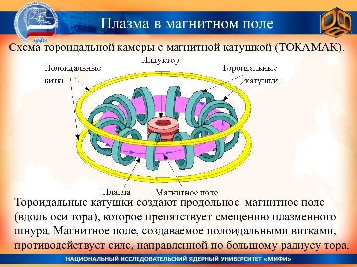 Плазма в магнитном поле Тороидальные катушки создают продольное магнитное поле (вдоль