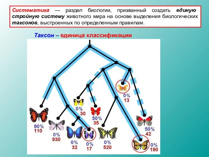 Систематика — раздел биологии, призванный создать единую стройную систему животного мира