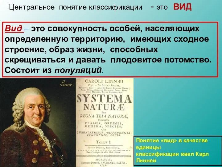 Центральное понятие классификации - это ВИД Вид – это совокупность особей,