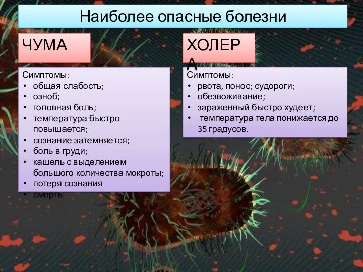 Наиболее опасные болезни ЧУМА Симптомы: общая слабость; озноб; головная боль; температура