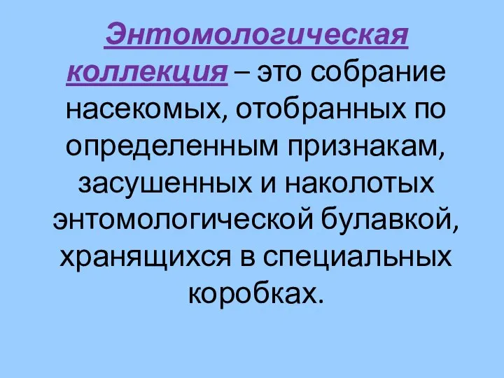 Энтомологическая коллекция – это собрание насекомых, отобранных по определенным признакам, засушенных