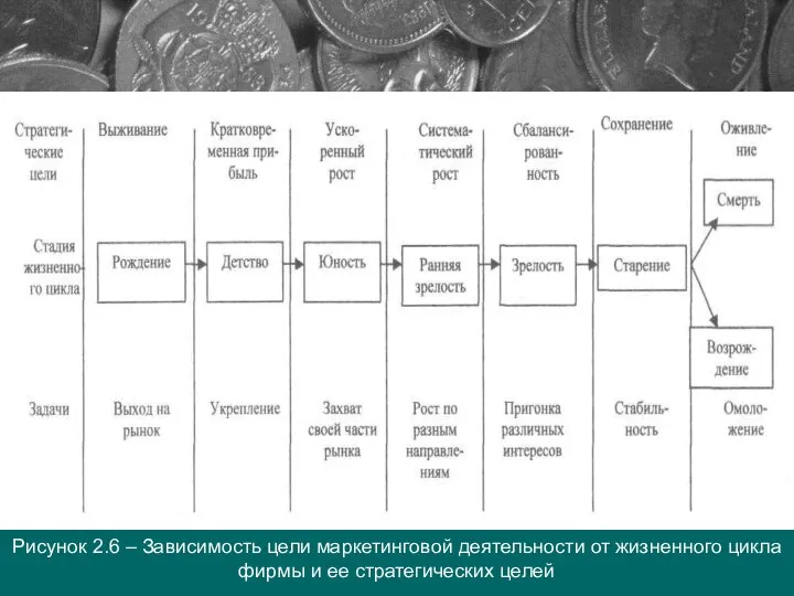 Рисунок 2.6 – Зависимость цели маркетинговой деятельности от жизненного цикла фирмы и ее стратегических целей