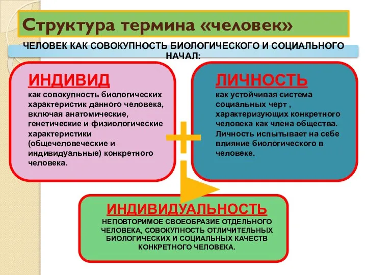 Структура термина «человек» ИНДИВИД как совокупность биологических характеристик данного человека, включая