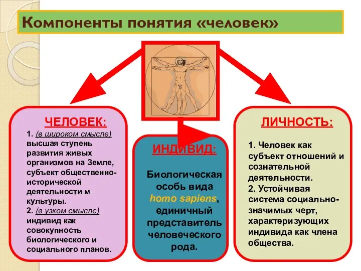 Компоненты понятия «человек» ЧЕЛОВЕК: 1. (в широком смысле) высшая ступень развития