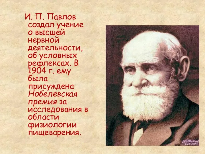 И. П. Павлов создал учение о высшей нервной деятельности, об условных