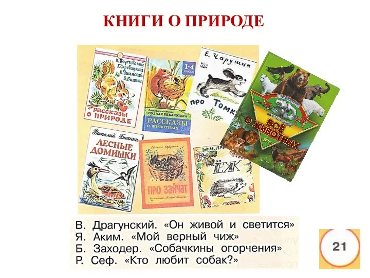 Взгляни на полку с книгами. Все ли книги здесь правильно заняли