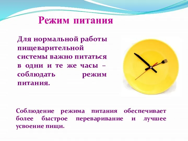 Режим питания Для нормальной работы пищеварительной системы важно питаться в одни