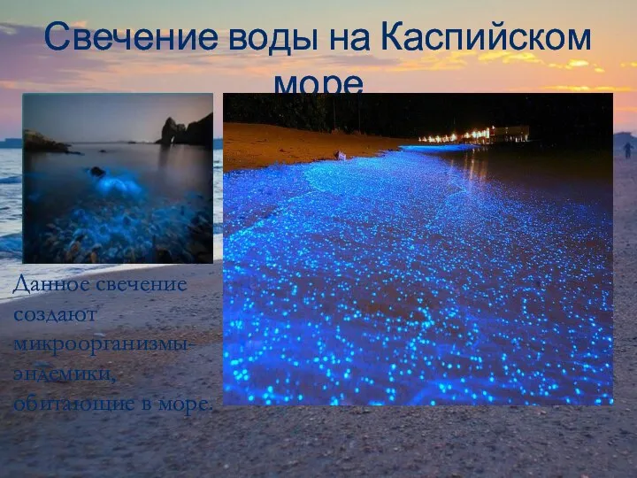 Свечение воды на Каспийском море Данное свечение создают микроорганизмы-эндемики, обитающие в море.