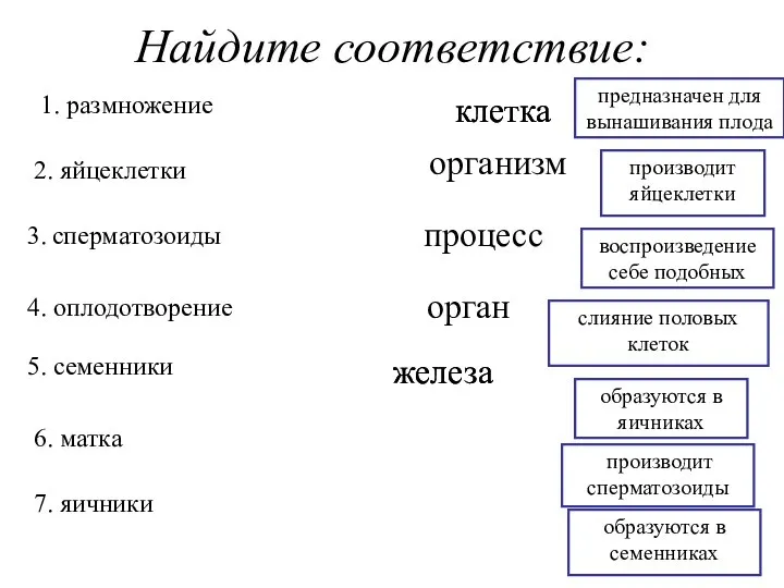 Найдите соответствие: 1. размножение 2. яйцеклетки 3. сперматозоиды 4. оплодотворение 5.