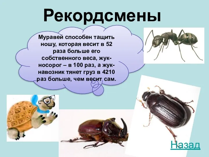 Муравей способен тащить ношу, которая весит в 52 раза больше его