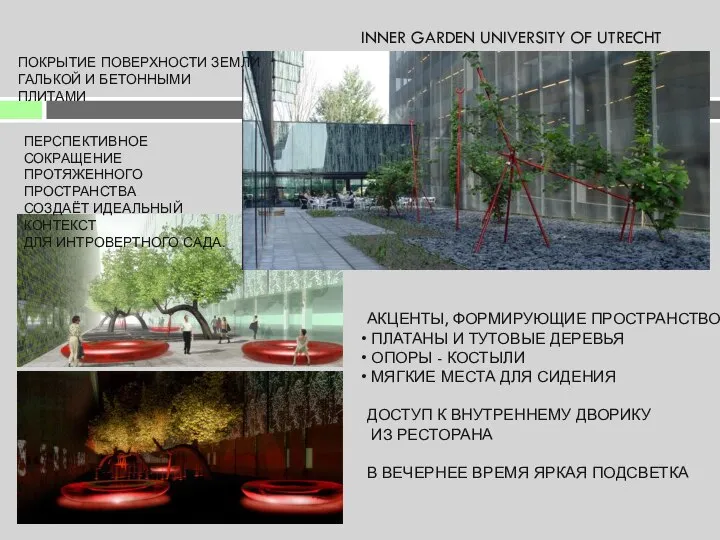 INNER GARDEN UNIVERSITY OF UTRECHT АКЦЕНТЫ, ФОРМИРУЮЩИЕ ПРОСТРАНСТВО: ПЛАТАНЫ И ТУТОВЫЕ