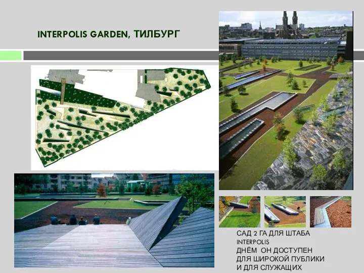 INTERPOLIS GARDEN, ТИЛБУРГ САД 2 ГА ДЛЯ ШТАБА INTERPOLIS ДНЁМ ОН